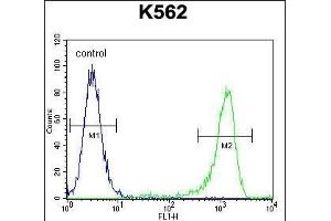 MLH1 Antibody (Center) (ABIN655632 and ABIN2845111) flow cytometric analysis of K562 cells (right histogram) compared to a negative control cell (left histogram). (MLH1 抗体  (AA 452-480))