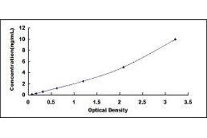 GM2 Ganglioside Activator (GM2A) ELISA Kit