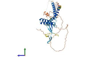 Protein Structure (PS) image for Elongation Factor RNA Polymerase II-Like 3 (ELL3) (AA 1-397) protein (His tag) (ABIN7553780)