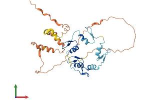 Protein Structure (PS) image for Odd-Skipped Related 2 (OSR2) (AA 1-312) protein (His tag) (ABIN7550537)