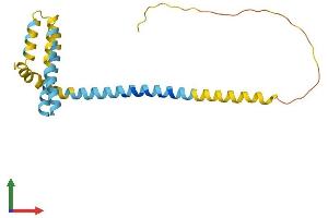 AlphaFold protein structure predicition of Human Recombinant REEP1 Protein, UniprotID Q9H902