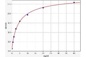 GSK3 alpha ELISA 试剂盒