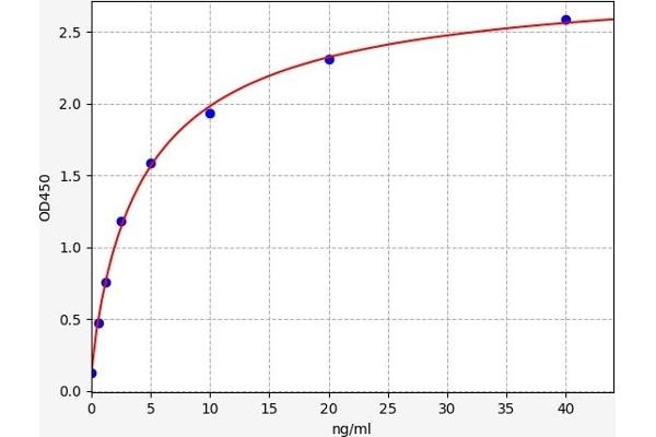 GSK3 alpha ELISA 试剂盒