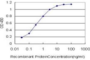 Detection limit for recombinant GST tagged MDM2 is approximately 0. (MDM2 抗体  (AA 101-200))