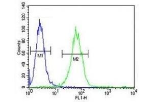 Flow Cytometry (FACS) image for anti-SRY (Sex Determining Region Y)-Box 4 (SOX4) (AA 86-114) antibody (ABIN3032699)