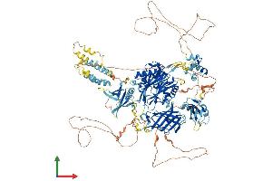 AlphaFold protein structure predicition of Mouse Recombinant Inppl1 Protein, UniprotID Q6P549 (INPPL1 Protein (AA 1-1257) (His tag))