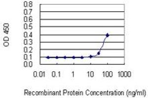 Detection limit for recombinant GST tagged SSB is 10 ng/ml as a capture antibody. (SSB 抗体  (AA 1-408))