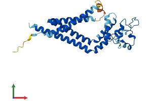 Protein Structure (PS) image for Tetraspanin 5 (TSPAN5) (AA 1-268) protein (His tag) (ABIN7556598)