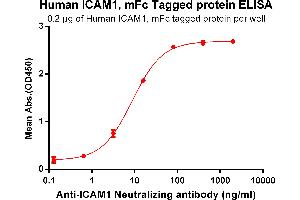 ELISA plate pre-coated by 2 μg/mL (100 μL/well) Human I, mFc tagged protein (ABIN6961122, ABIN7042273 and ABIN7042274) can bind Anti-I Antibody ABIN7093055 and ABIN7272585 in a linear range of 0.