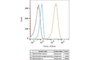 Flow cytometry: BEWO cells were stained with Rabbit IgG isotype control (, 2.