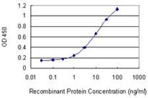 Detection limit for recombinant GST tagged CUEDC1 is 0. (CUEDC1 抗体  (AA 1-386))