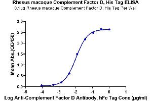 ELISA image for Complement Factor D (CFD) (AA 21-253) protein (His tag) (ABIN7274333)