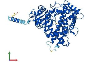 Protein Structure (PS) image for Cytochrome P450, Family 1, Subfamily A, Polypeptide 1 (CYP1A1) (AA 1-512) protein (His tag) (ABIN7546655)