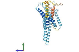 AlphaFold protein structure predicition of Mouse Recombinant Lpar2 Protein, UniprotID Q9JL06