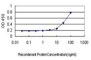 Detection limit for recombinant GST tagged BANF1 is approximately 1ng/ml as a capture antibody. (BANF1 抗体  (AA 1-89))