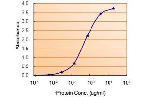 ELISA Image ELISA detection of COMT using  for capture at a concentration of 2. (COMT 抗体)
