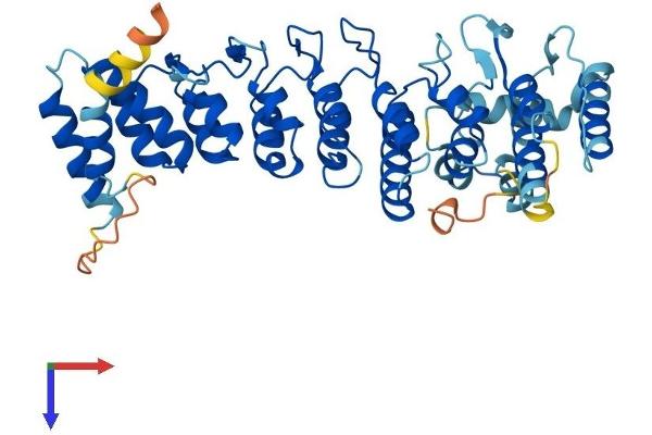 ASB6 Protein (AA 1-421) (His tag)