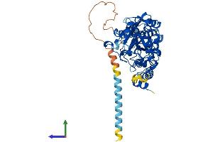 AlphaFold protein structure predicition of Human Recombinant FUT10 Protein, UniprotID Q6P4F1 (FUT10 Protein (AA 1-479) (His tag))
