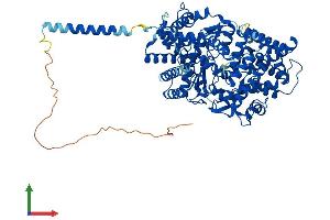 Protein Structure (PS) image for Endothelin-Converting Enzyme 1 (ECE1) (AA 1-769) protein (His tag) (ABIN7557394)