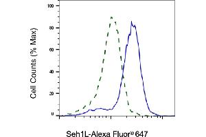 Validation of Seh1L knockdown using flow cytometry. (Recombinant SEH1L 抗体)