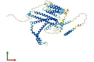 Protein Structure (PS) image for Stimulated By Retinoic Acid 6 (STRA6) (AA 1-667) protein (His tag) (ABIN7555654)