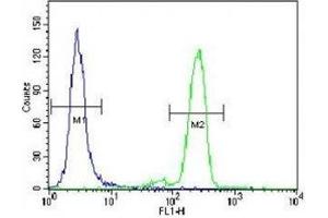 PML antibody flow cytometric analysis of HeLa cells (right histogram) compared to a negative control (left histogram). (PML 抗体  (Sumoylation Site))