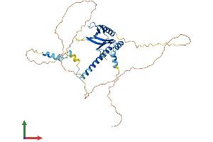 Protein Structure (PS) image for Interaction Protein For Cytohesin Exchange Factors 1 (IPCEF1) (AA 1-406) protein (His tag) (ABIN7557436)