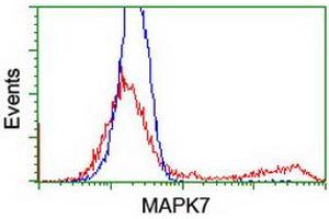 HEK293T cells transfected with either RC203506 overexpress plasmid (Red) or empty vector control plasmid (Blue) were immunostained by anti-MAPK7 antibody (ABIN2454050), and then analyzed by flow cytometry. (MAPK7 抗体)