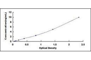 ELISA image for Myelin Oligodendrocyte Glycoprotein (MOG) ELISA Kit (ABIN6730896)