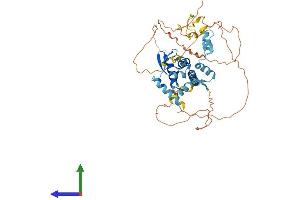 Protein Structure (PS) image for Zinc Finger and BTB Domain Containing 8B (ZBTB8B) (AA 1-495) protein (His tag) (ABIN7545720)