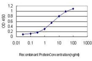 Detection limit for recombinant GST tagged POMC is approximately 0. (POMC 抗体  (AA 205-267))