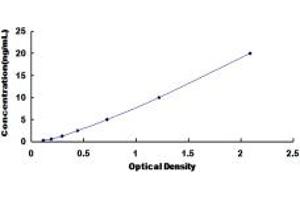 Typical standard curve (DAB1 ELISA 试剂盒)