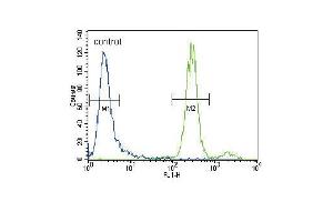 Flow Cytometry (FACS) image for anti-Hepatocyte Growth Factor (Hepapoietin A, Scatter Factor) (HGF) (AA 521-554), (C-Term) antibody (ABIN388462)