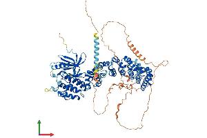 Protein Structure (PS) image for SCY1-Like 1 (SCYL1) (AA 1-806) protein (His tag) (ABIN7561396)