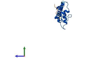 AlphaFold protein structure predicition of Mouse Recombinant H2az2 Protein, UniprotID Q3THW5
