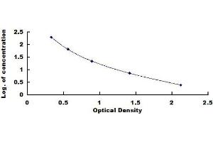 ELISA image for Cross Linked N-Telopeptide of Type I Collagen (NTX-I) ELISA Kit (ABIN1571623)
