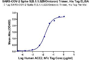 ELISA image for SARS-CoV-2 Spike (B.1.1.529 - Omicron), (Trimer) protein (His tag) (ABIN7274386)