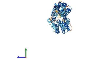 Protein Structure (PS) image for Solute Carrier Family 43, Member 2 (SLC43A2) (AA 1-568) protein (His tag) (ABIN7559323)