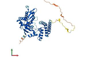 Protein Structure (PS) image for Family with Sequence Similarity 46, Member C (FAM46C) (AA 1-391) protein (His tag) (ABIN7557529)