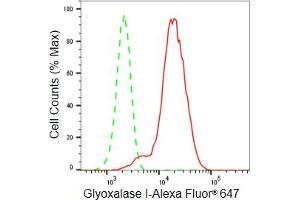 Flow cytometric analysis of Glyoxalase I expression in HeLa cells using Glyoxalase I antibody (ABIN7798785), 1:2,000). (Recombinant GLO1 抗体)