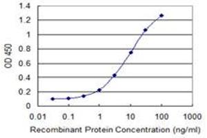 Detection limit for recombinant GST tagged NKRF is 0. (NKRF 抗体  (AA 591-690))