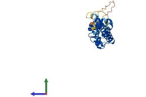 AlphaFold protein structure predicition of Mouse Recombinant Ccdc103 Protein, UniprotID Q9D9P2