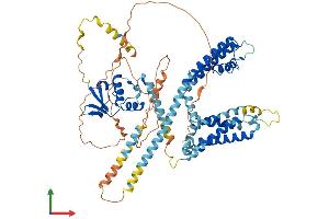 Protein Structure (PS) image for Potassium Voltage-Gated Channel, Shal-Related Subfamily, Member 1 (Kcnd1) (AA 1-647) protein (His tag) (ABIN7554296)