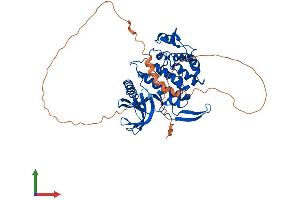 Protein Structure (PS) image for CDC like Kinase 1 (CLK1) (AA 1-483) protein (His tag) (ABIN7562969)