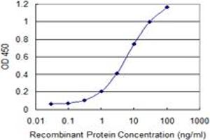 Detection limit for recombinant GST tagged TWIST1 is 0. (TWIST1 抗体  (AA 106-174))