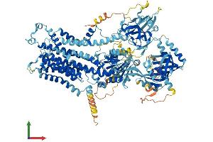 Protein Structure (PS) image for ATPase, Class VI, Type 11A (ATP11A) (AA 1-1134) protein (His tag) (ABIN7552370)