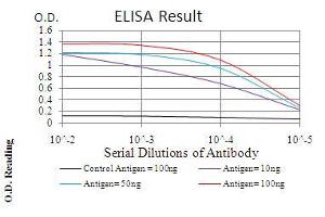 Black line: Control Antigen (100 ng), Purple line: Antigen(10 ng), Blue line: Antigen (50 ng), Red line: Antigen (100 ng), (HMMR 抗体  (AA 306-497))