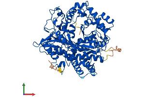 Protein Structure (PS) image for Glutamate-Cysteine Ligase, Catalytic Subunit (GCLC) (AA 1-637) protein (His tag) (ABIN7556819)