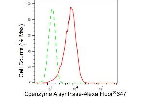 Flow cytometric analysis of Coenzyme A synthase expression in HepG2 cells using Coenzyme A synthase antibody (ABIN7798104), 1:2,000). (Recombinant COASY 抗体)