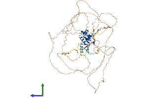 Protein Structure (PS) image for Forkhead Box M1 (FOXM1) (AA 1-760) protein (His tag) (ABIN7562192)